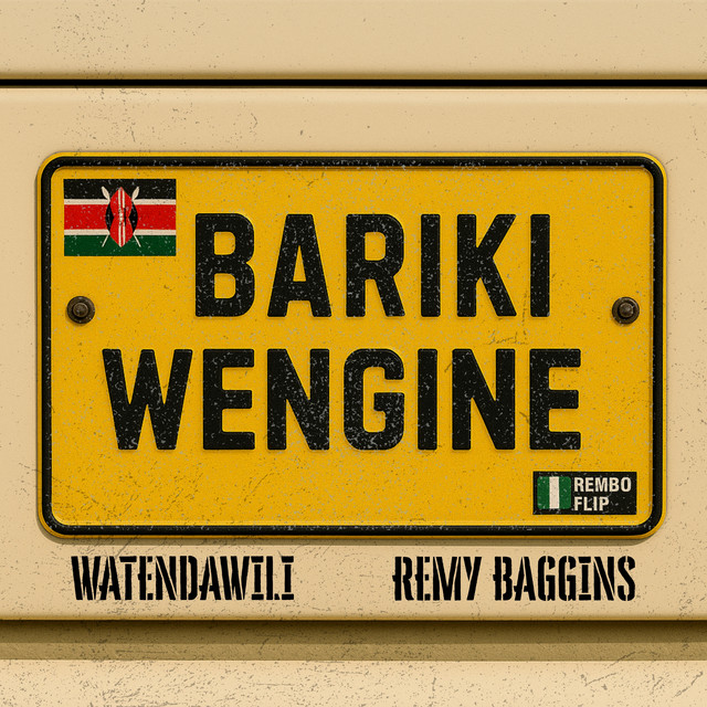 'Bariki Wengine (Rembo Flip) [Remix]' cover art