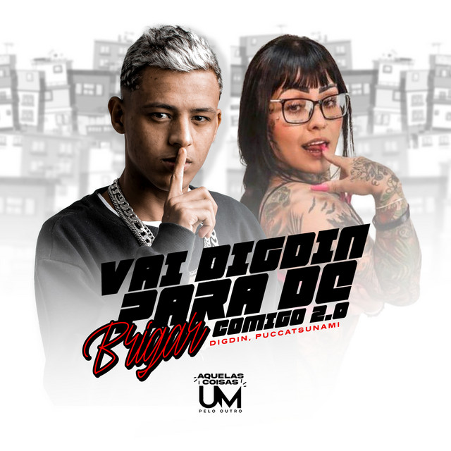 'Vai Digdin para de Brigar Comigo 2.0' cover art