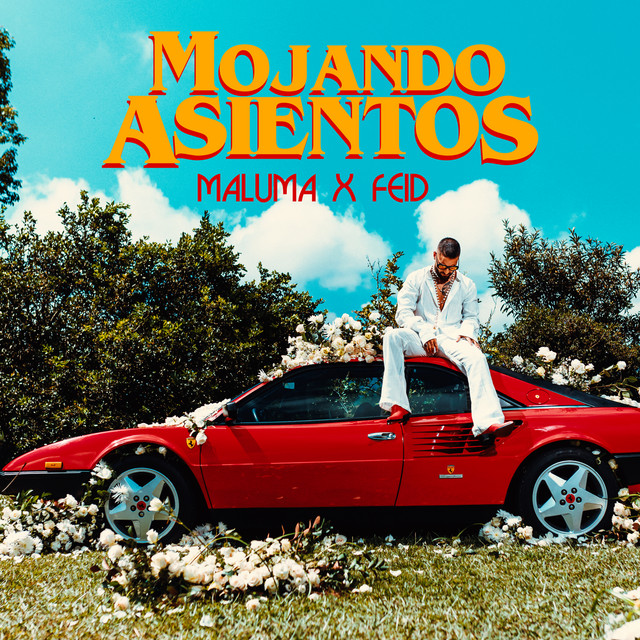 'Mojando Asientos (feat. Feid)' cover art