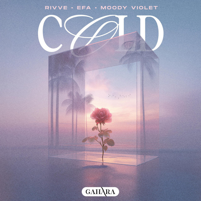'Cold' cover art