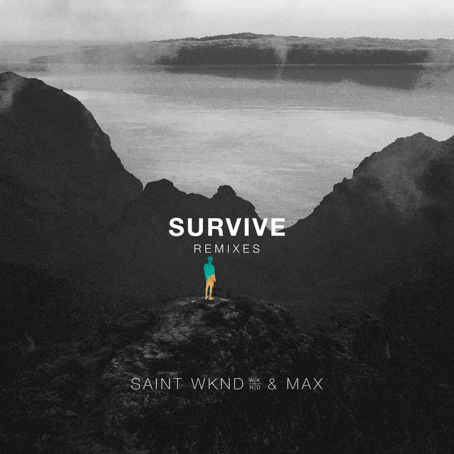 'Survive (Remixes)' cover art