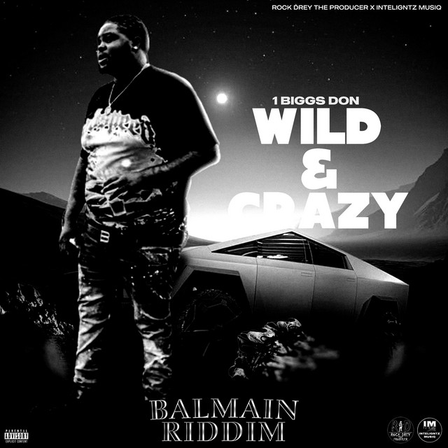 'Wild & Crazy' cover art