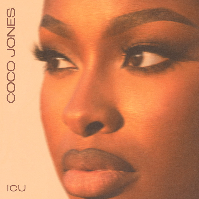'ICU (Sped Up Version)' cover art