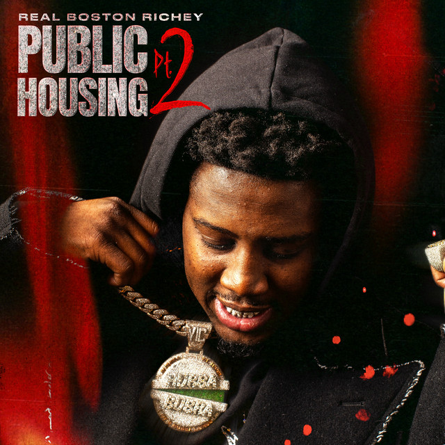 'Public Housing, Pt. 2' cover art