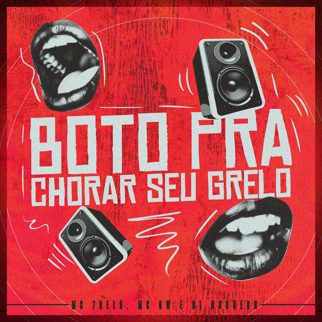'Boto Pra Chorar No Seu Grelo' cover art