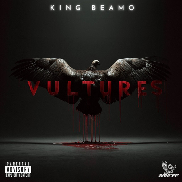 'Vultures' cover art