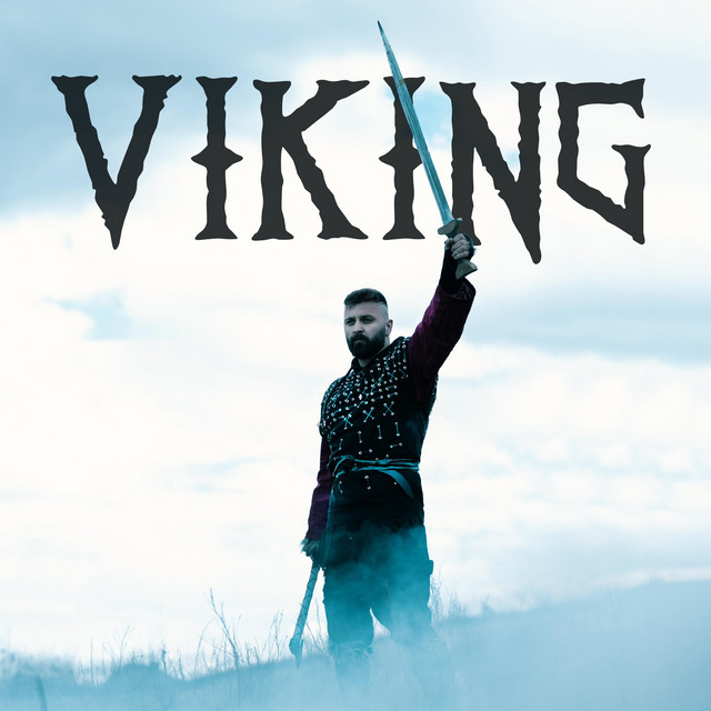 'Viking' cover art