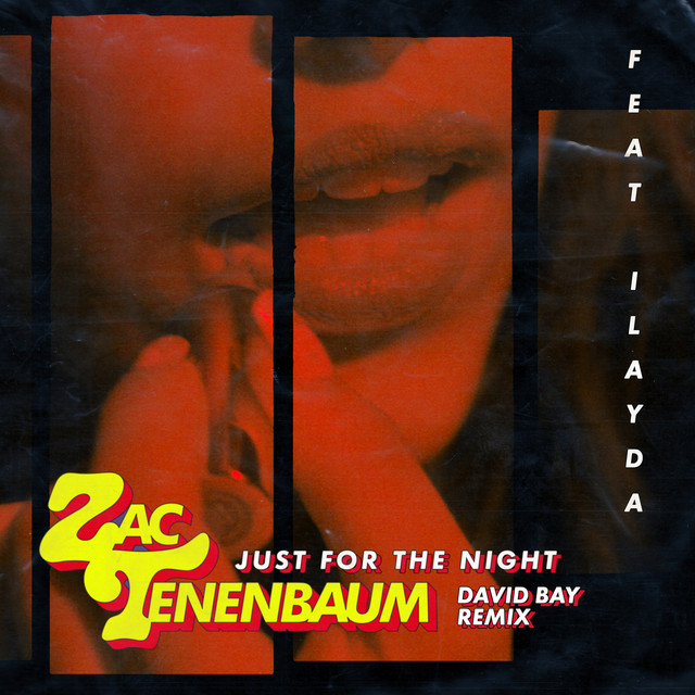 'Just for the Night (David Bay Remix)' cover art