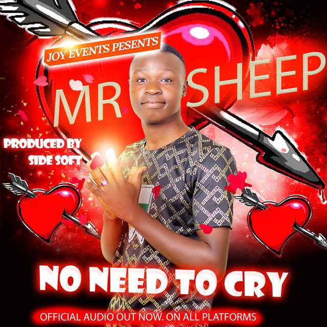 'No Need To Cry (Official Audio)' cover art
