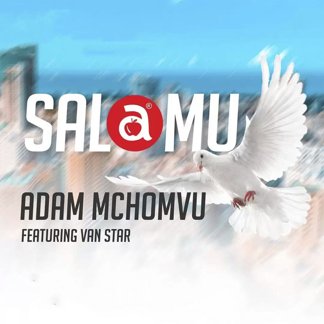 'Salamu (feat. Van Star)' cover art