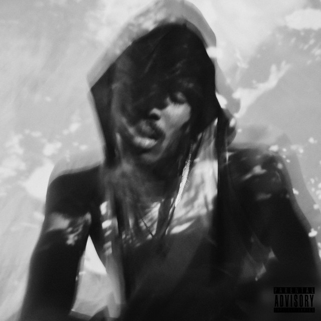 'Memoirs Of A Don, Vol. 1' cover art