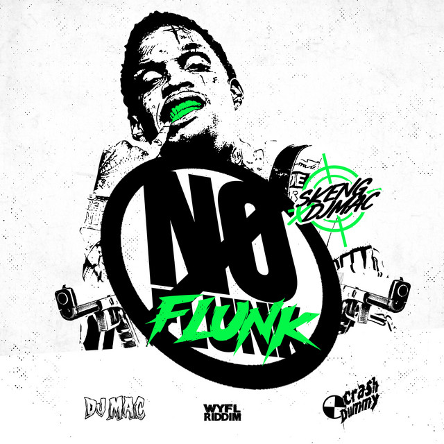 'No Flunk' cover art