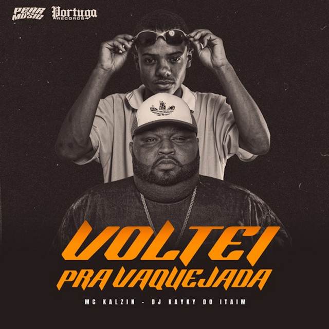 'Voltei Pra Vaquejada' cover art