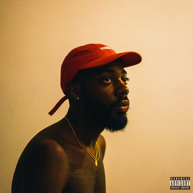 'Sonder Son' cover art