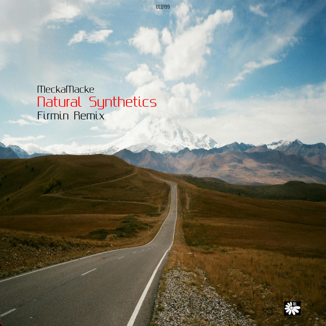 'Natural Synthetics (Firmin Remix)' cover art