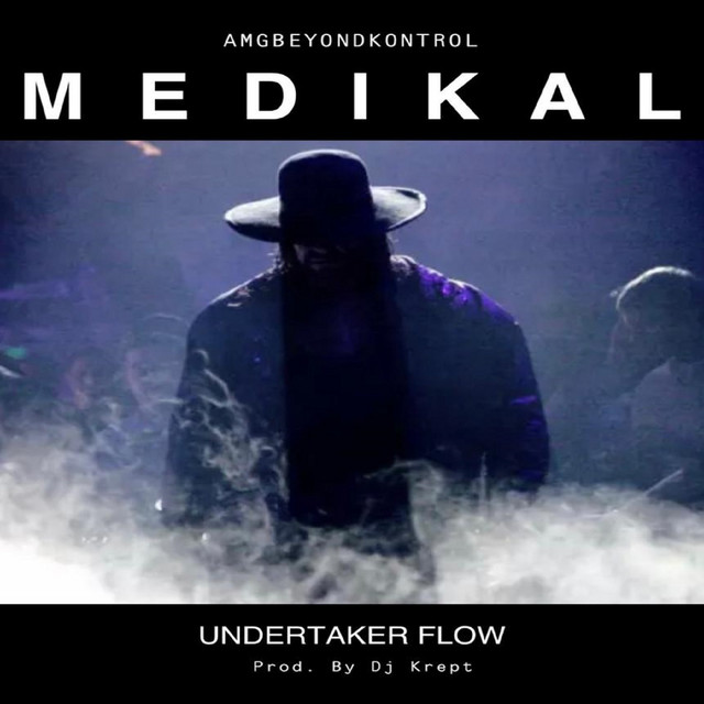 'Undertaker Flow' cover art