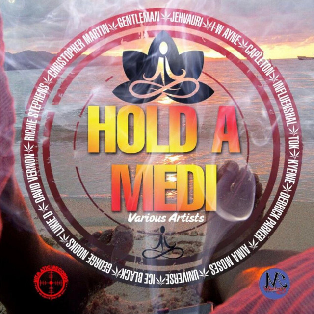 'Hold a Medi Megamix' cover art