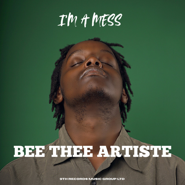 'I'm a mess' cover art
