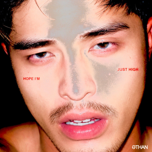 'Hope I'm Just High' cover art