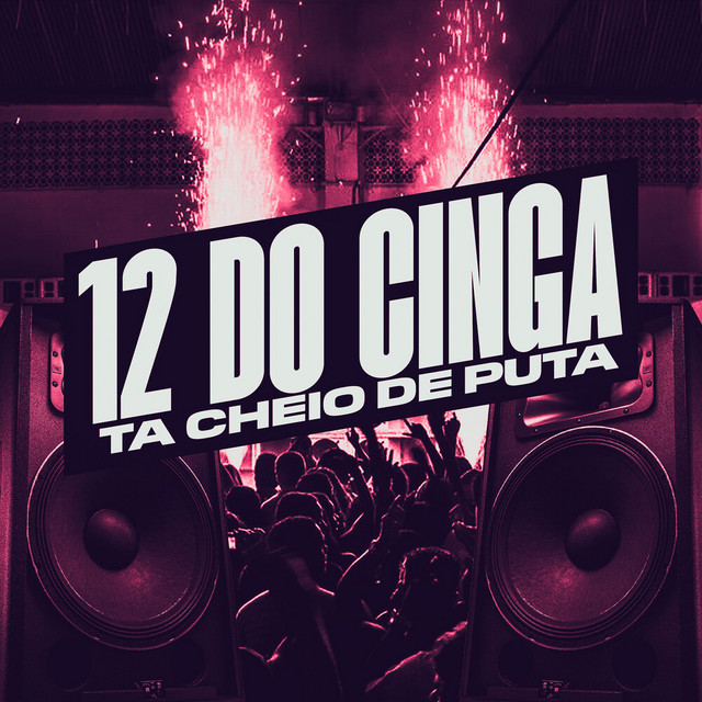 '12 Do Cinga Ta Cheio De Puta' cover art