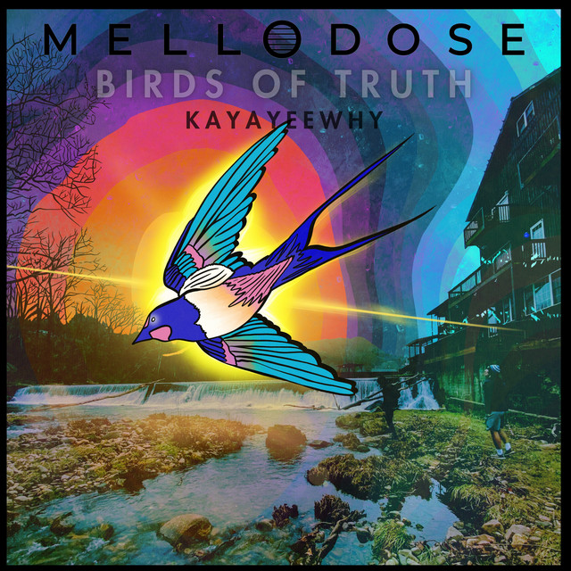 'Birds of Truth' cover art