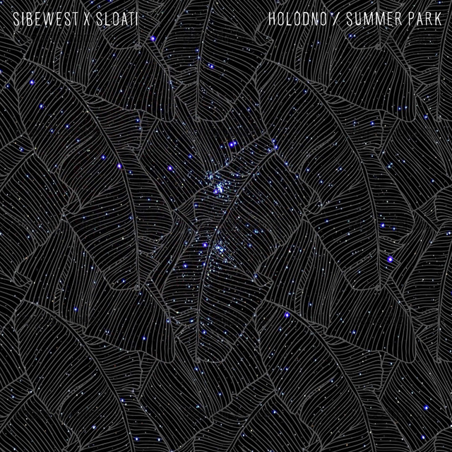 'Holodno / Summer Park' cover art