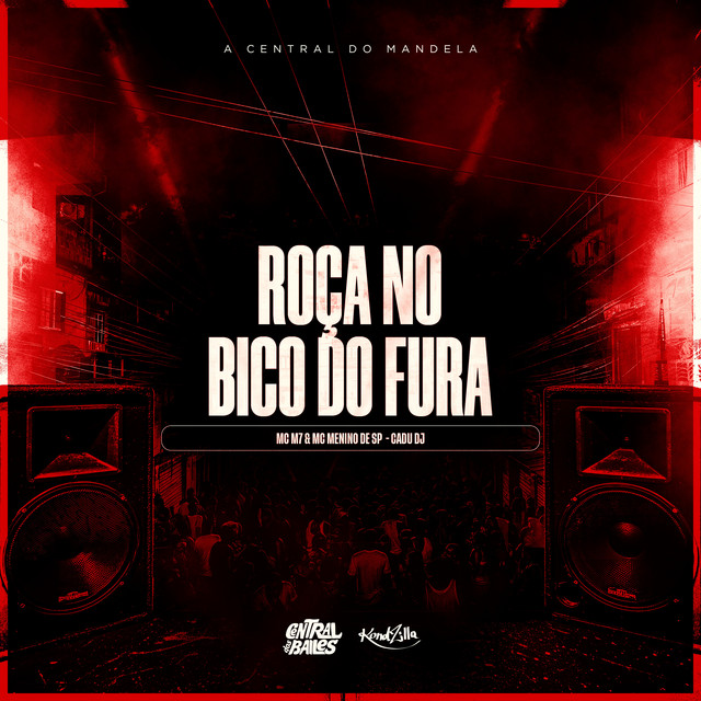 'Roça No Bico Do Fura' cover art