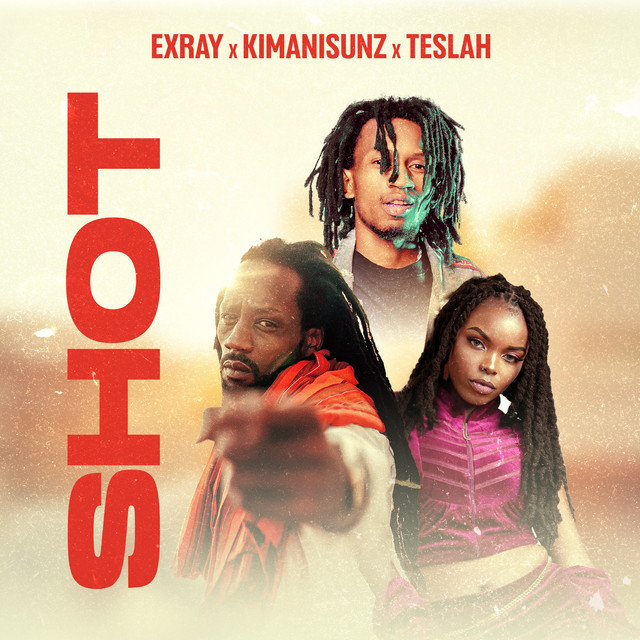 'SHOT' cover art