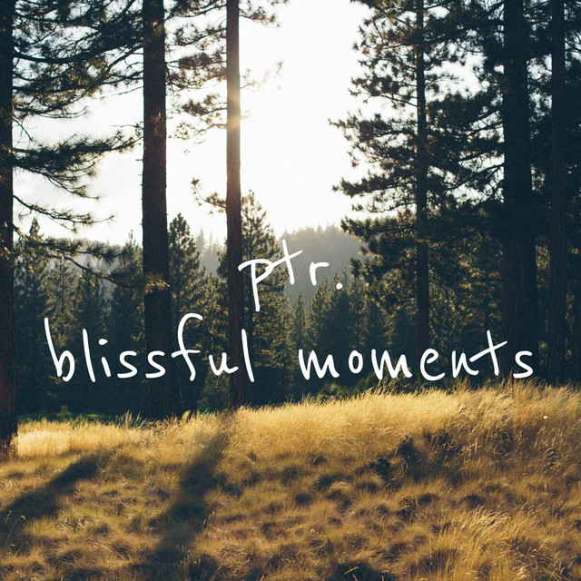 'Blissful Moments' cover art