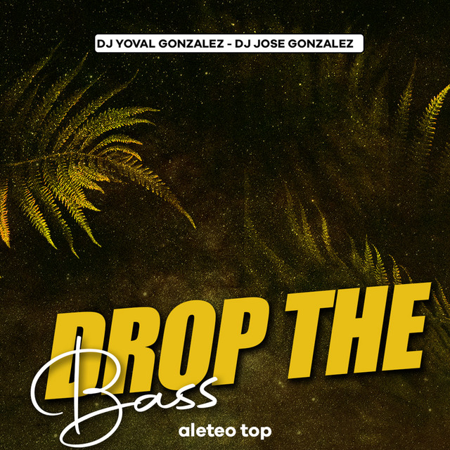 'Drop The Bass' cover art