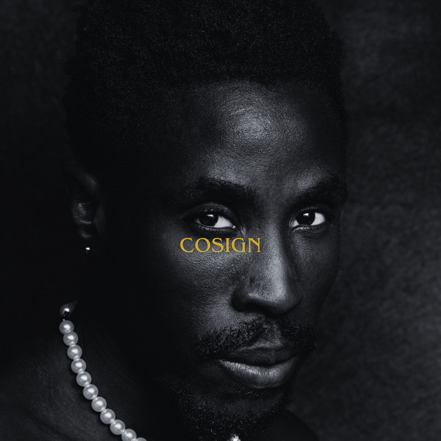 'Cosign' cover art