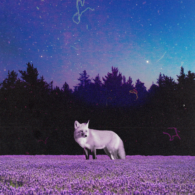 'lavender fields' cover art