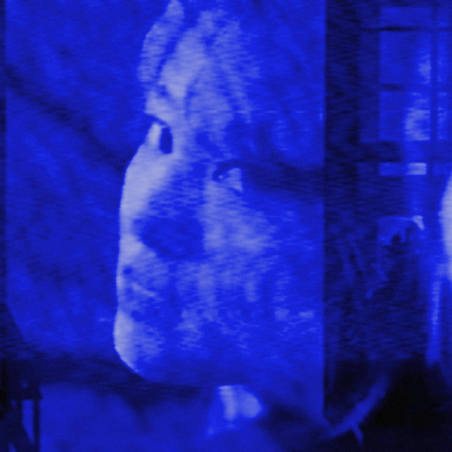 'blue screen heart' cover art