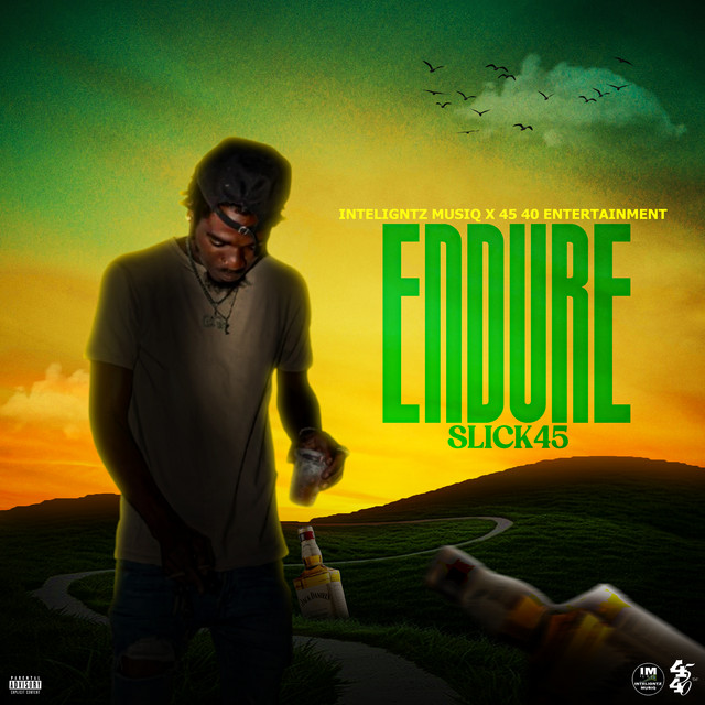 'Endure' cover art