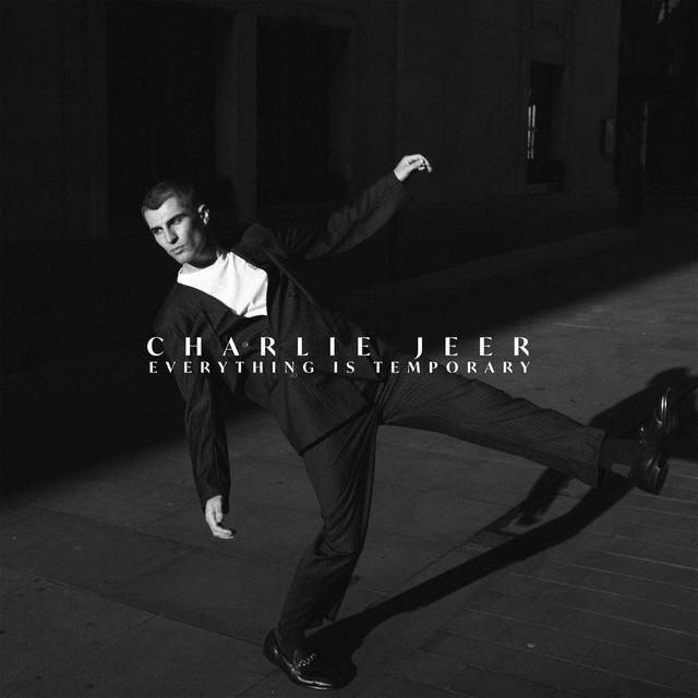 'Everything Is Temporary' cover art