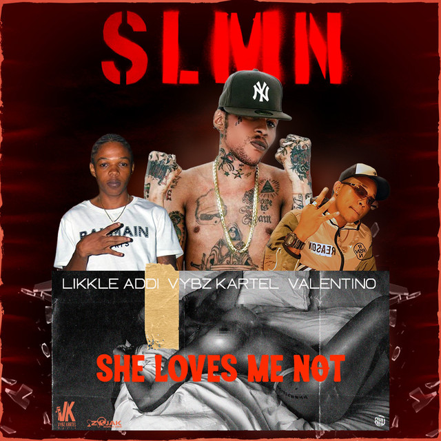 'She Loves Me Not (SLMN)' cover art