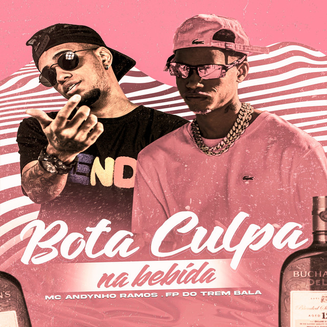 'Bota Culpa na Bebida' cover art