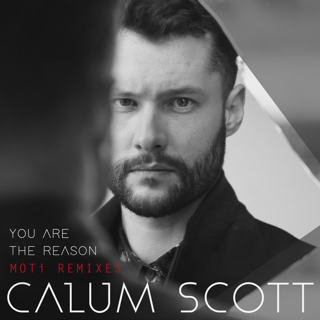 'You Are The Reason (MOTi Remixes)' cover art