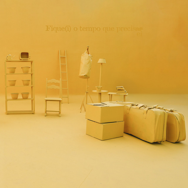 'Fiquei o tempo que precisei' cover art