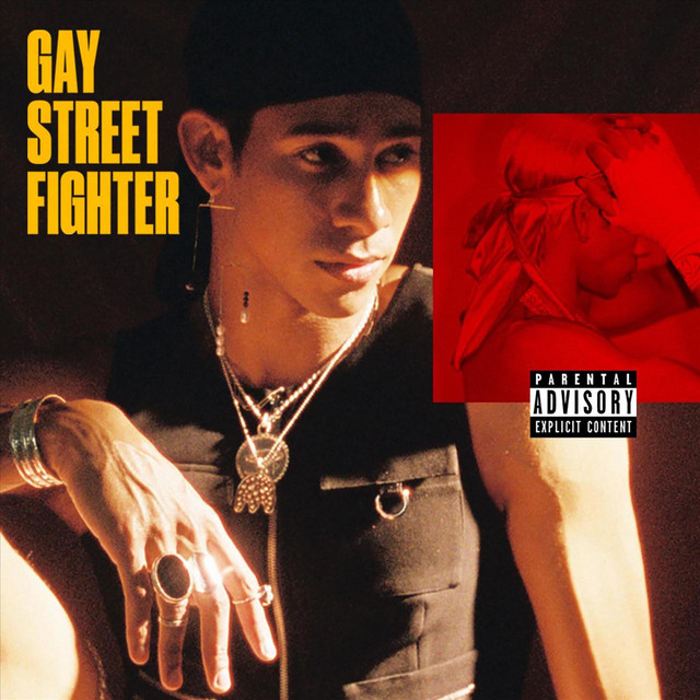 'Gay Street Fighter' cover art