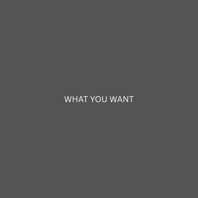 'WHAT YOU WANT' cover art