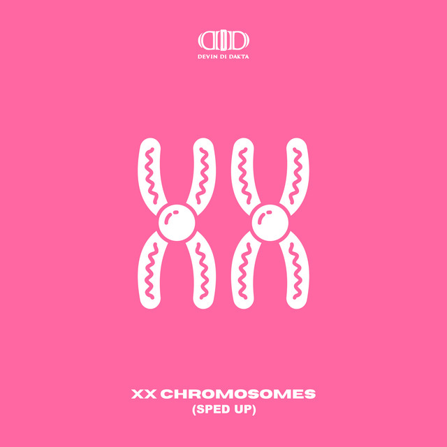 'XX Chromosomes (Sped Up)' cover art