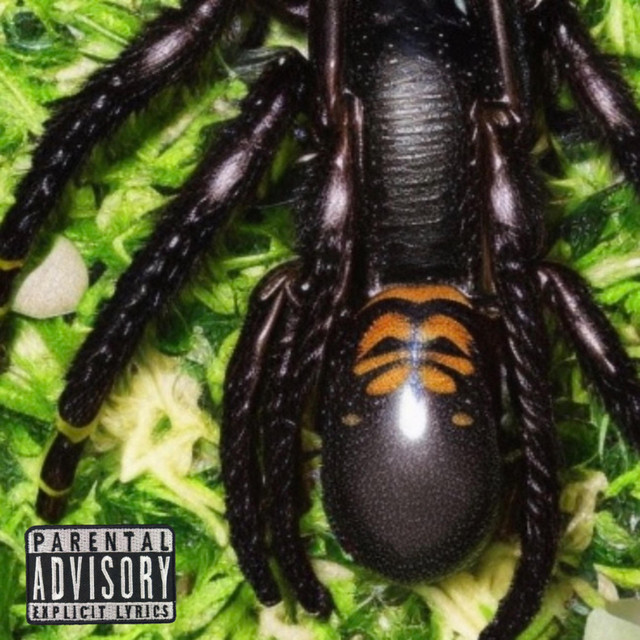 'WEB!' cover art