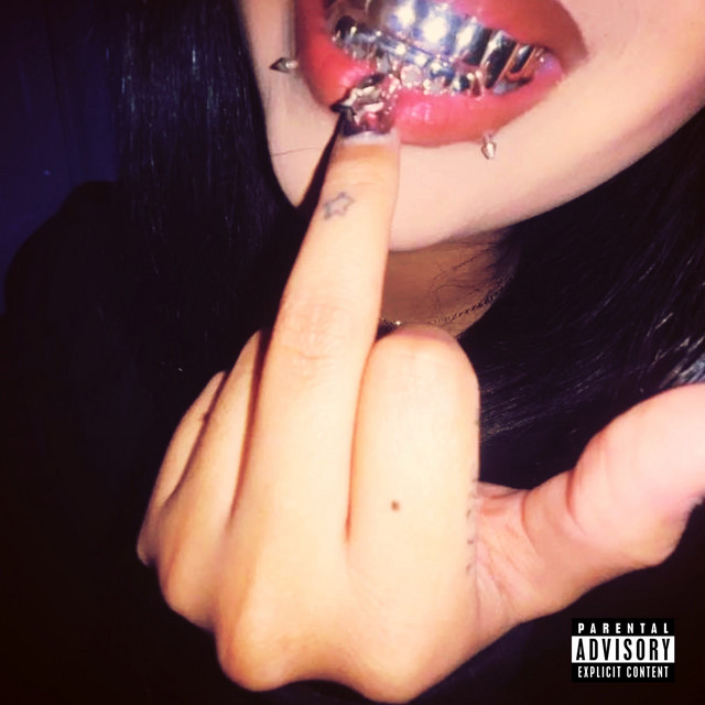 'h0ezz!' cover art