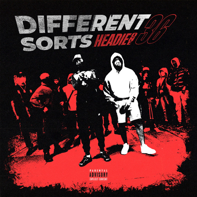 'Different Sorts' cover art