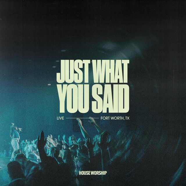 'Just What You Said (Live)' cover art