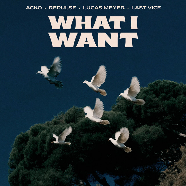 'What I Want' cover art