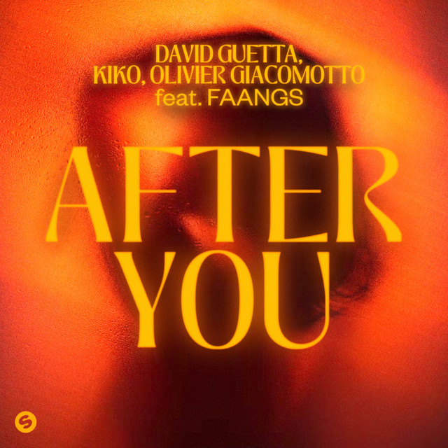 'After You (feat. FAANGS)' cover art