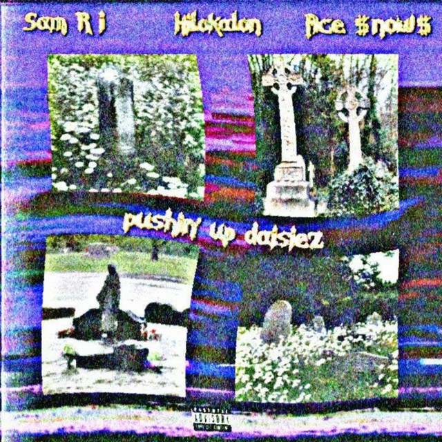 'Pushin' Up Daisiez' cover art