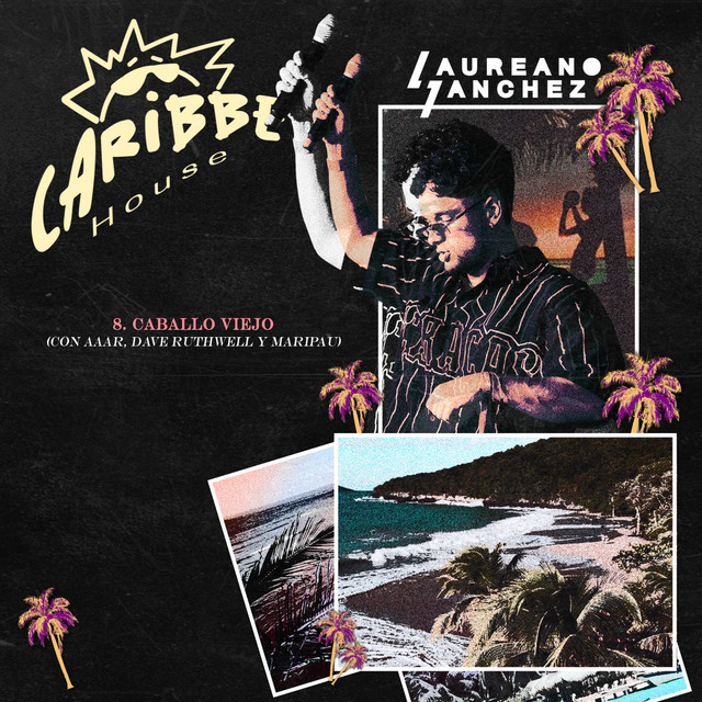 'Caballo Viejo (Radio Edit)' cover art